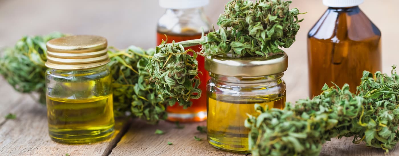 Cannabis and oils are shown in a closeup and explained through Cannabis 101 - Basic Facts About Cannabis.