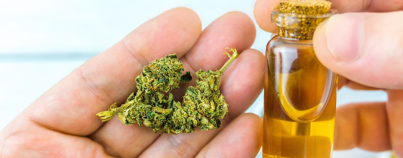 Cannabis and THC oil are shown in hands.