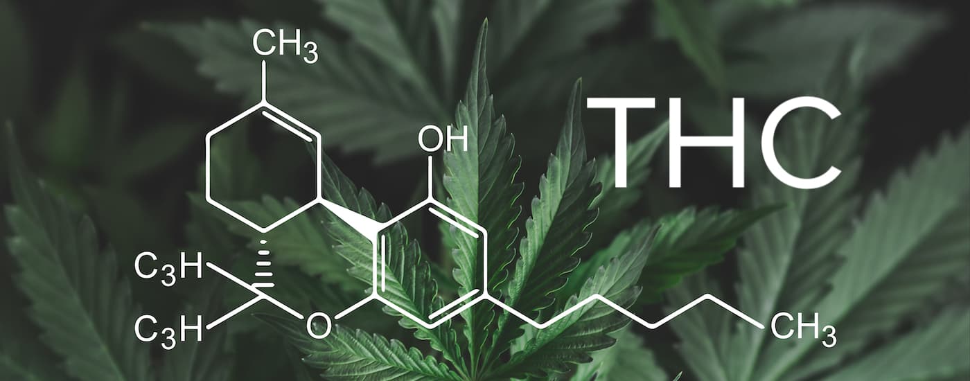 The THC compound is shown in front of a cannabis plant.