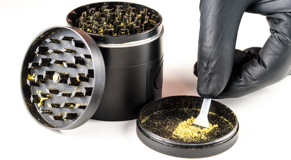 A gloved hand is scraping kief next to a grinder.